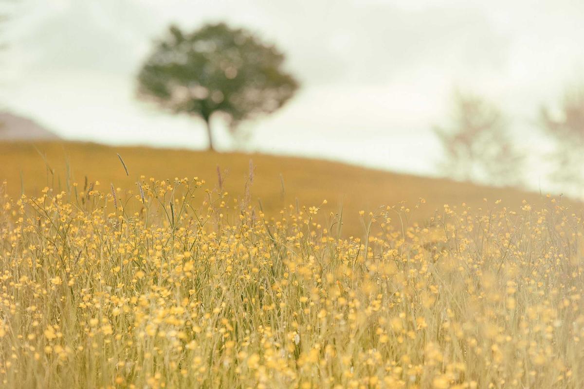 Concert produit par Projecteur Débat sous les projecteurs d'une salle nantaise